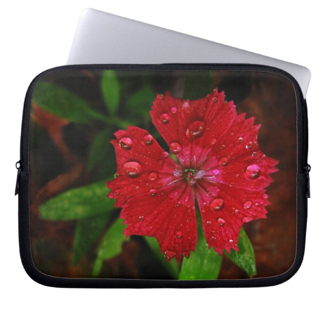 Protection Pour Ordinateur Portable Red Dianthus Avec Raindrops (Devant)