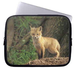 Protection Pour Ordinateur Portable Renardeau renard roux devant terrier (Vulpes vulpe