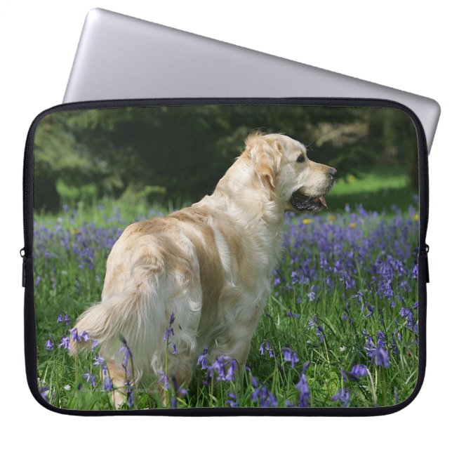 Protection Pour Ordinateur Portable Retreiver d'or en fleurs (Devant)