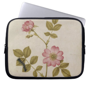 Protection Pour Ordinateur Portable Rosa Canina - Dogrose et Caterpillar (crayon et