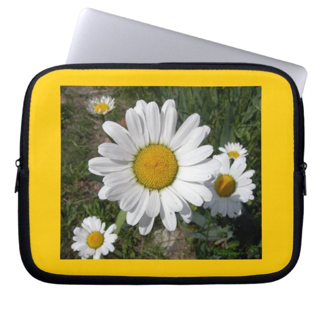 Protection Pour Ordinateur Portable Shasta Daisy (Chrysanthemum maximum) (Devant)