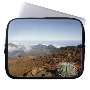 Protection Pour Ordinateur Portable Silversword sur le bord du cratère Haleakala de pr