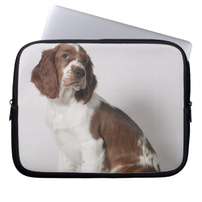 Protection Pour Ordinateur Portable Springer spaniel (Devant)