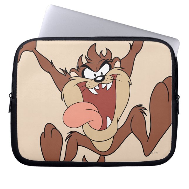 PROTECTION POUR ORDINATEUR PORTABLE TAZ™ (Devant)