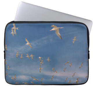 Protection Pour Ordinateur Portable Terres