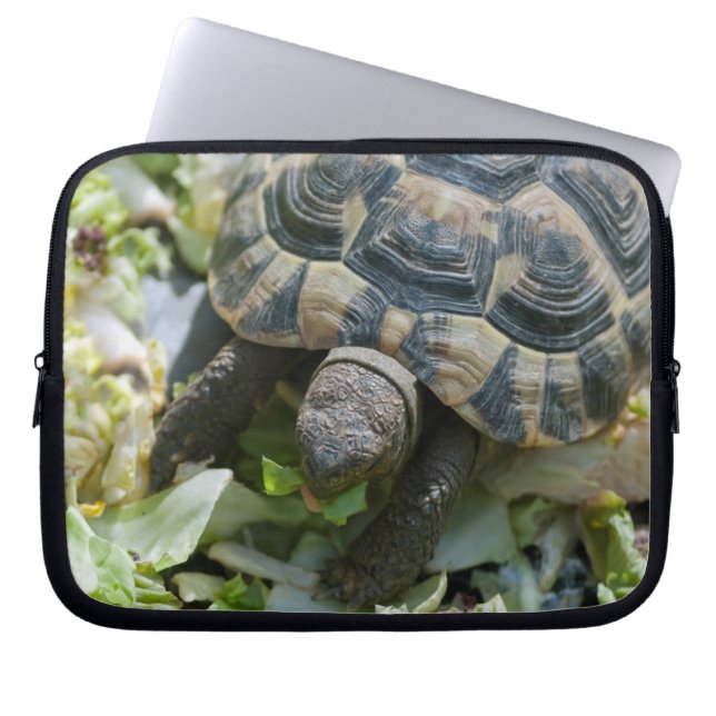 Protection Pour Ordinateur Portable Tortue mignonne (Devant)