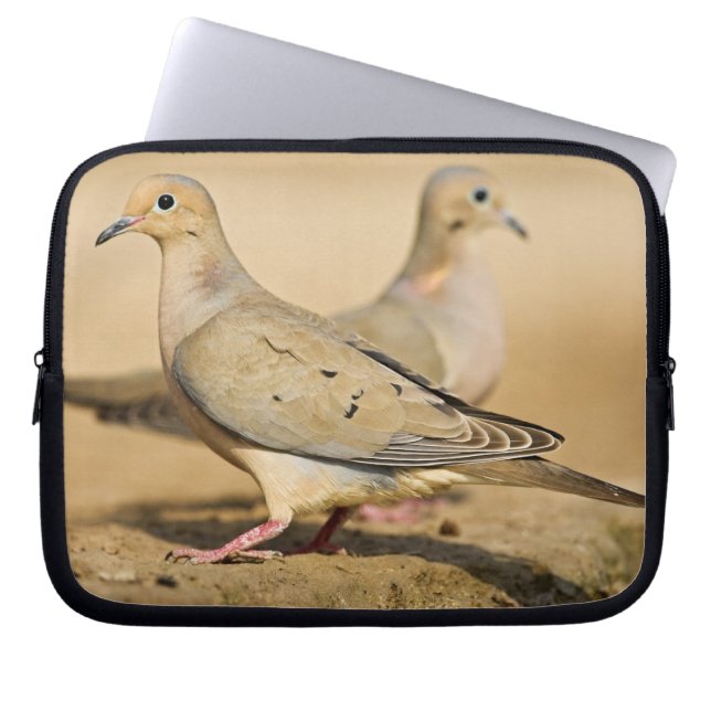 Protection Pour Ordinateur Portable Tourterelle triste (Devant)