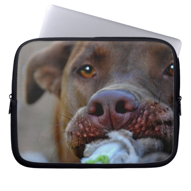 Protection Pour Ordinateur Portable Tuggage de chocolat Lab Pit Chiot (Devant)