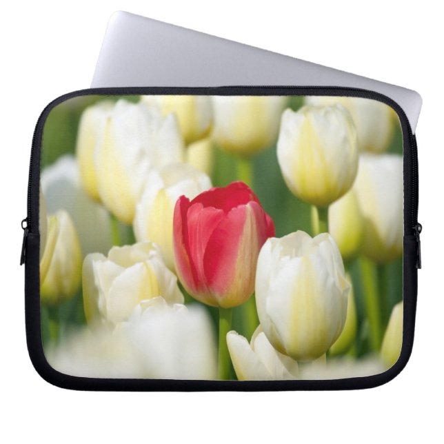 Protection Pour Ordinateur Portable Tulipe rouge dans un domaine des tulipes blanches (Devant)