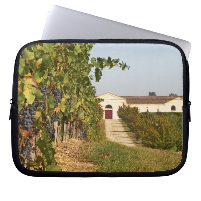 Protection Pour Ordinateur Portable Vignobles, petites vignes de verdot et (Devant)