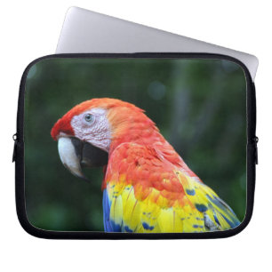 Protection Pour Ordinateur Portable visage de scarlet macaw