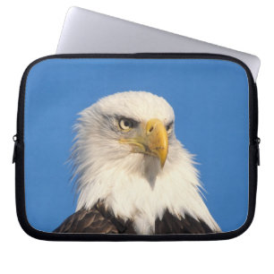 Protection Pour Ordinateur Portable Vue d'aigle chauve
