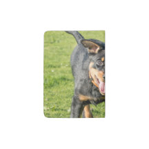 Jeune chien de Beauceron qui court dans le gras