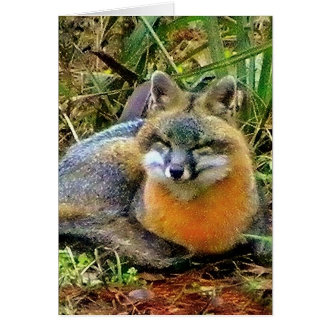 PROTÉGER LA FAUNE (Devant)