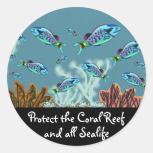 Protéger les stickers Coral Reef