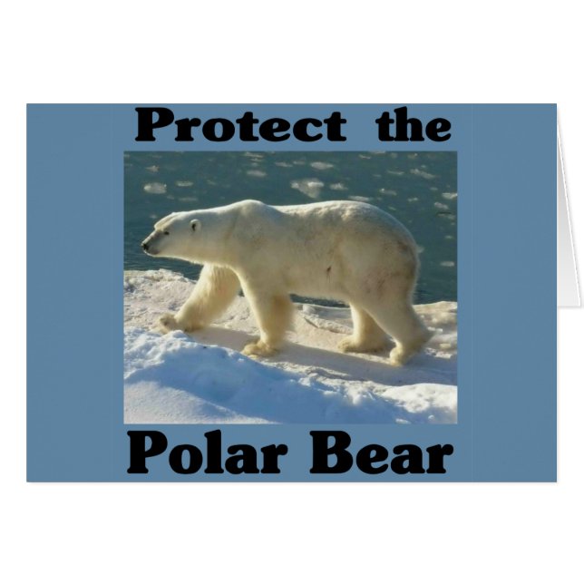 Protéger l'ours polaire (Devant horizontal)