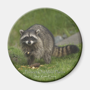 "PROTÉGEZ NOS ENDROITS SAUVAGES" Magnets Raccoon