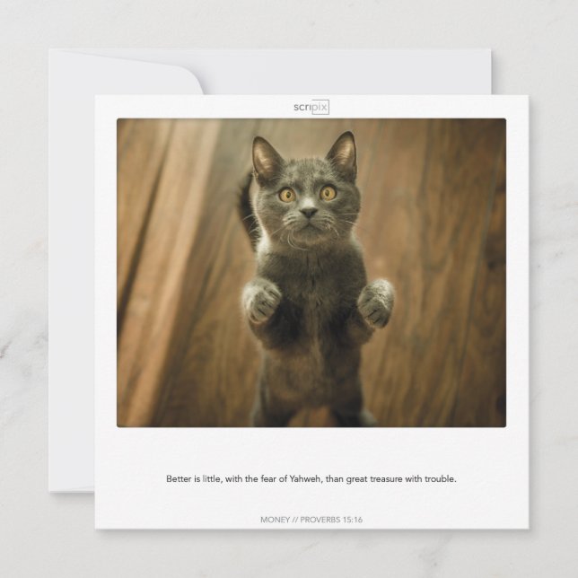 Proverbes 15:16 MONEY carte SCRIPIX (Devant)