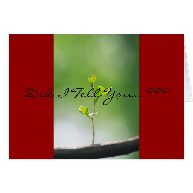 Proverbes 18:21 - Amour (Devant horizontal)