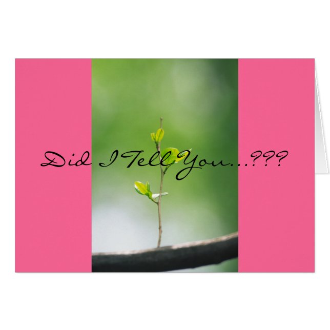 Proverbes 31:29 (Devant horizontal)