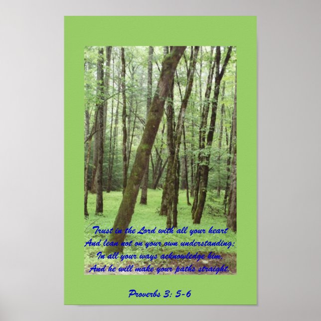 Proverbes 3 : 5-6 affiche avec de beaux arbres ver (Devant)