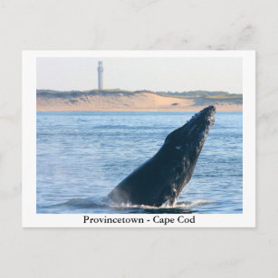 Provincetown - Cape Cod carte postale