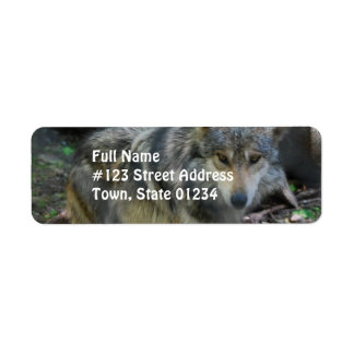 Prowling Wolf Mailing Étiquettes