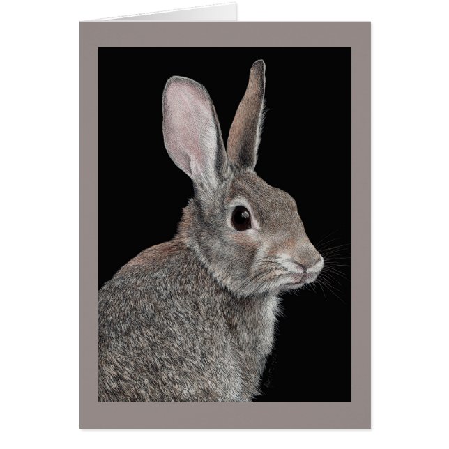 "Prudent" - Lapin de garenne (Devant)