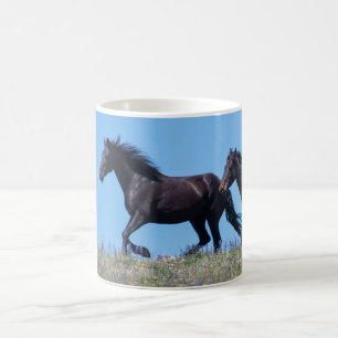 Pryor Mountain Wild Mustang Coffee Mug