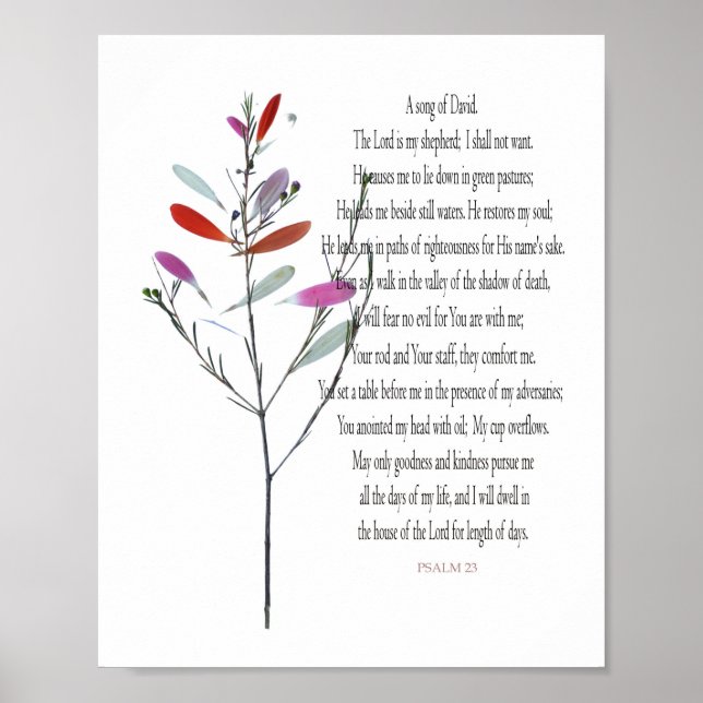 Psalm 23 Fine Botanical, Value Poster Paper (Devant)