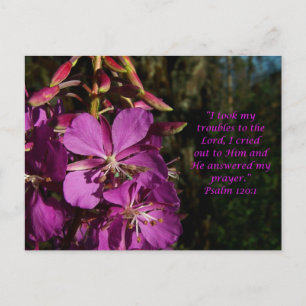 Psaume 120:1 Psaume d'encouragement Carte postale