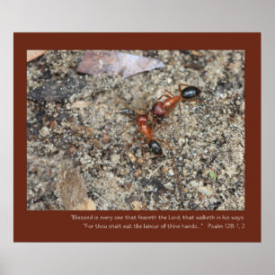 Psaume 128: 1, 2 Ecriture Poster