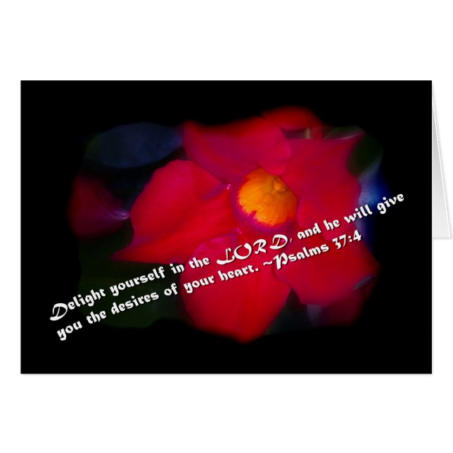 Psaumes 37:4 sur Noir (Devant horizontal)