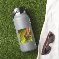 Psssst ! Happy Damselfly Photo Sticker