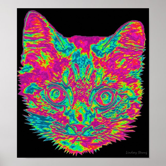Psychedelic Cat Poster (Devant)