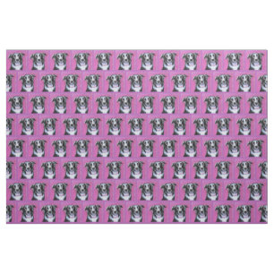 Psychédélique Lune Chien Bordure Collie Tissu