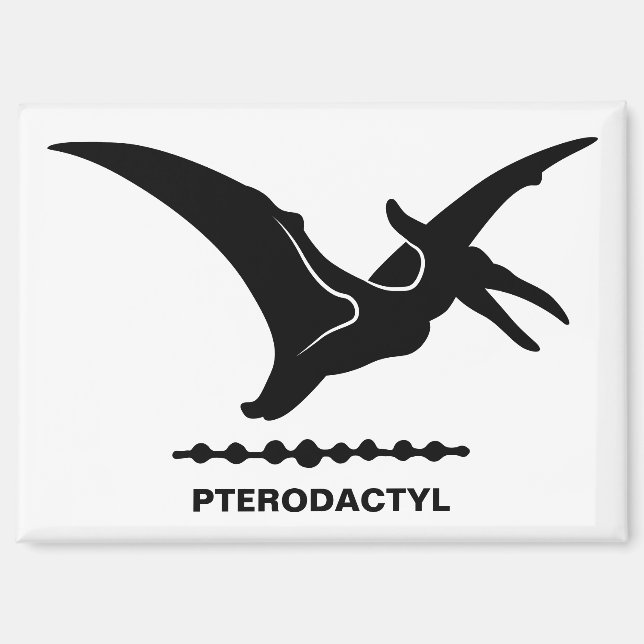 Ptéodactyle Dinosaure Aimant Silhouette (Recto)