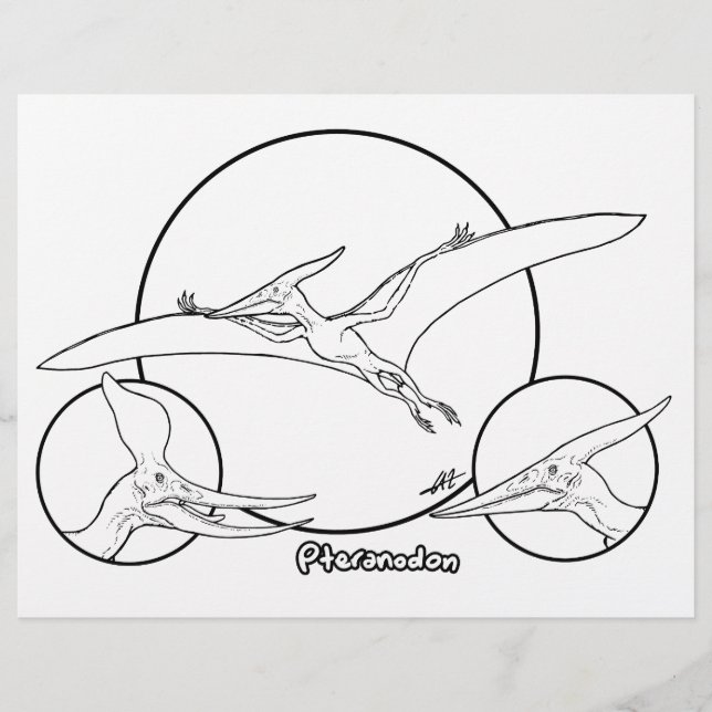 Pteranodon - Coloriage Page. (Devant)