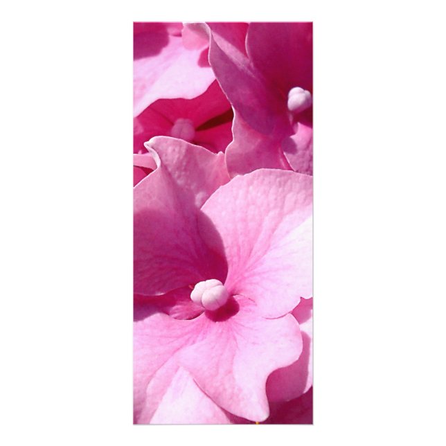Publicitaire Carte de montage Hydrangea rose (Devant)
