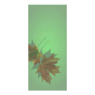 Publicitaire Carte rack Maple Leave