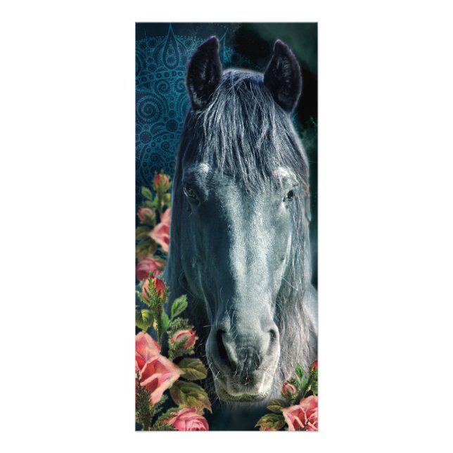 Publicitaire Friesian DIAMOND ~ Carte Rackcard (Devant)