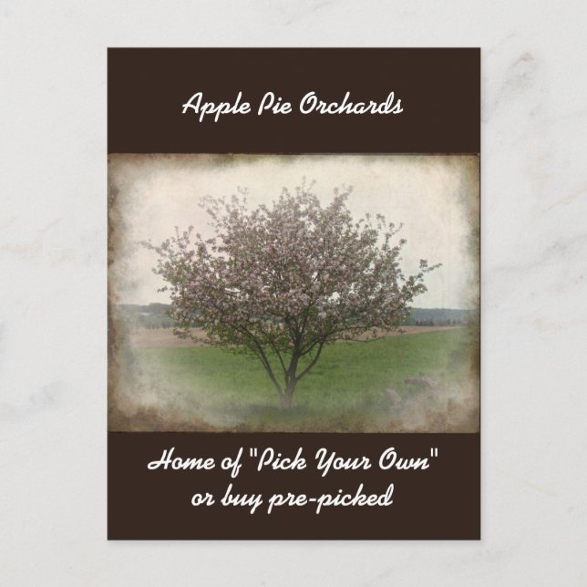 Publier l'arbre Apple dans la carte postale Bloom (Devant)