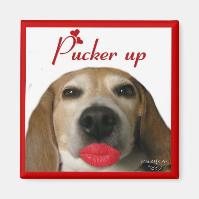 Pucker Up Magnet Beagle (Devant)