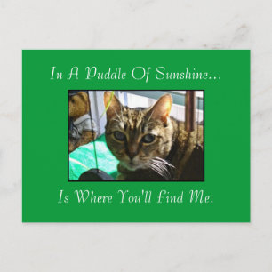 Puddle De Sunshine Carte Postale