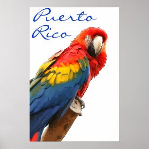 Puerto Rico Scarlet Macaw Poster