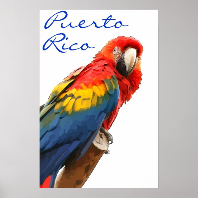 Puerto Rico Scarlet Macaw Poster (Devant)