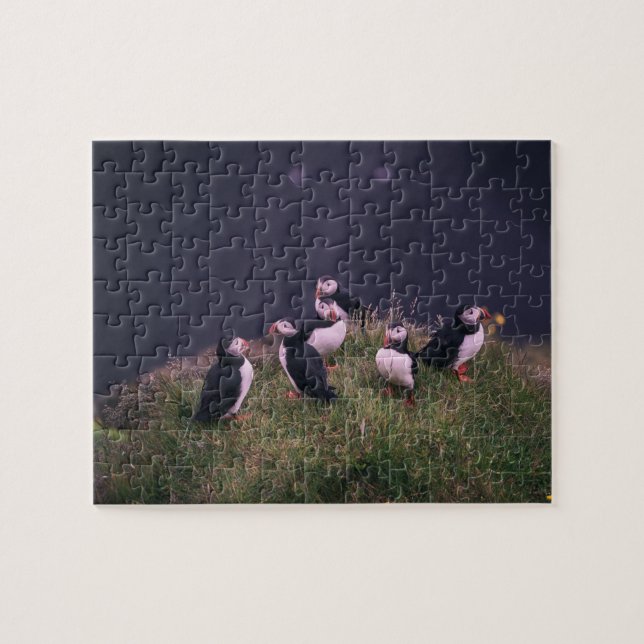 Puffins Atlantique Puzzle Puzzle Puzzle (Horizontal)