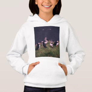 Puffins de l'Atlantique