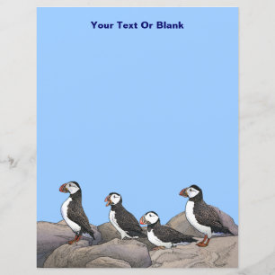 Puffins de l'Atlantique