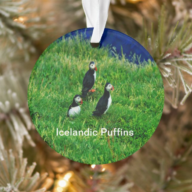Puffins islandais en été (Arbre)